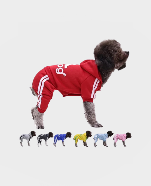 Adidog Hoodie small to medium dogs